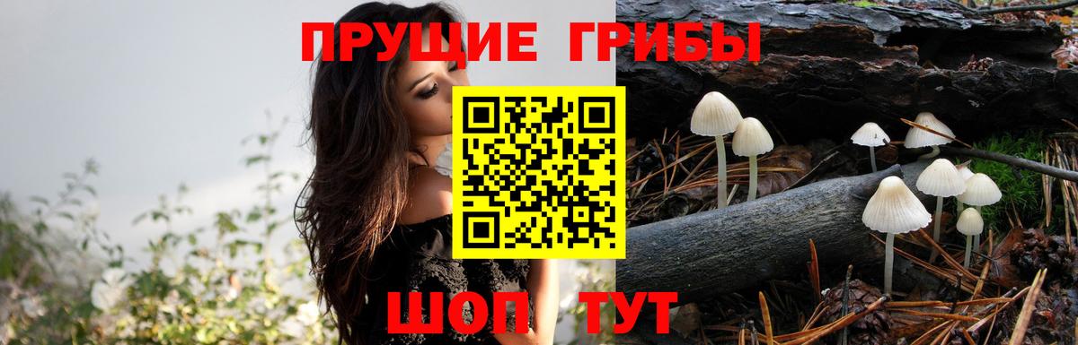 сколько стоит  Псилоцибиновые грибы MAGIC MUSHROOMS  Вход с VPN  Пермь 